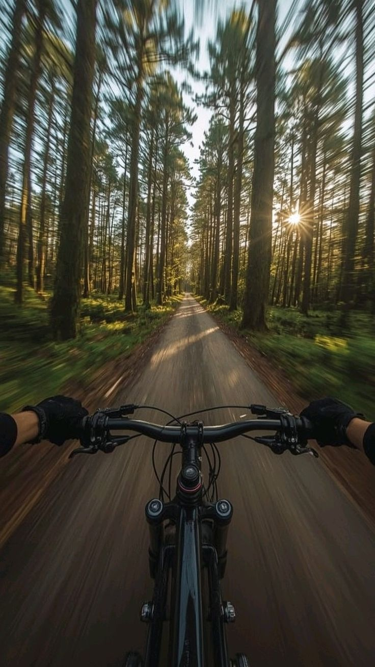 Percorso in bicicletta lungo un sentiero alberato immerso nella natura vicino a Villa Sant'Erasmo