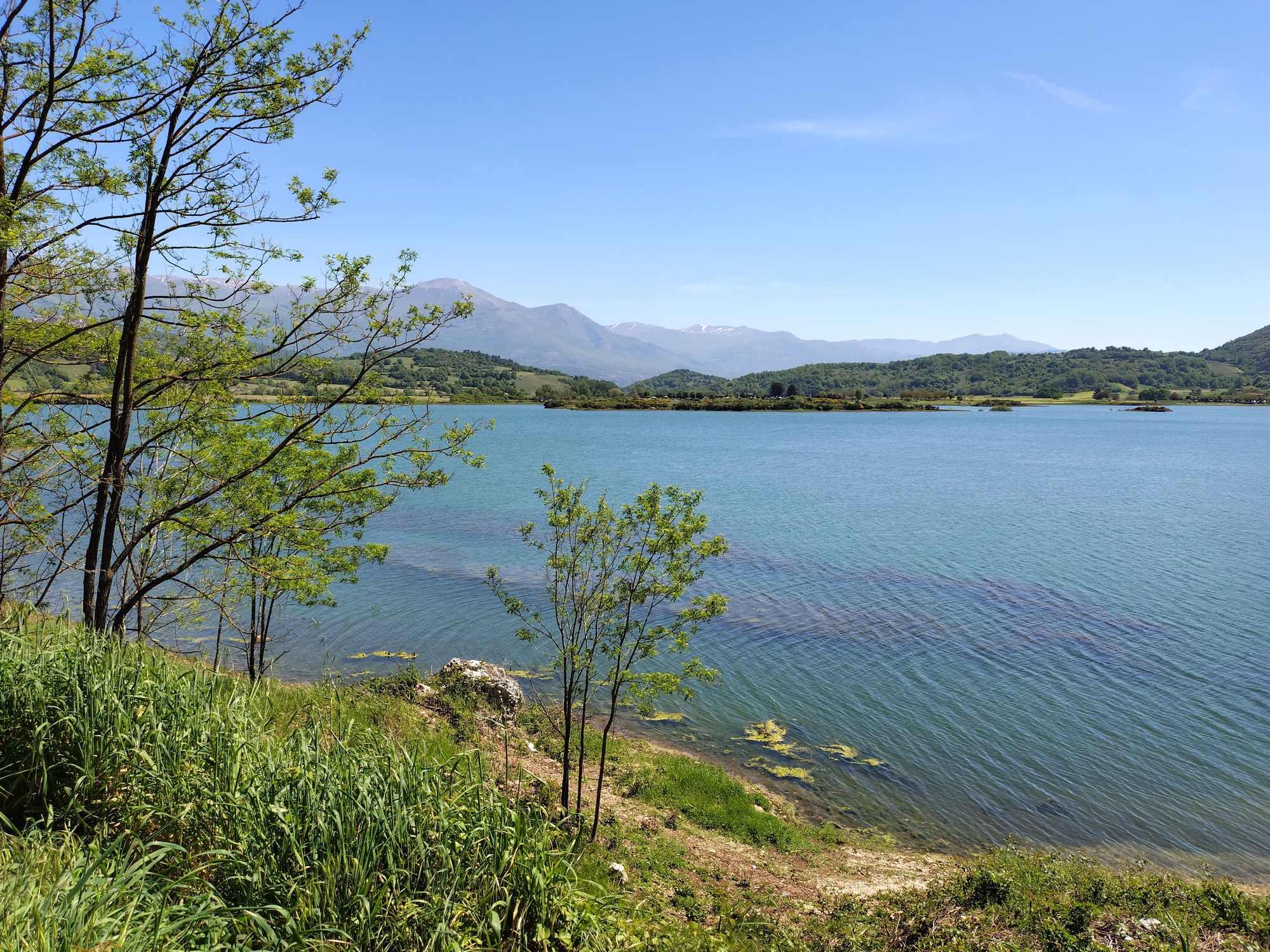Shoreline of Lago di Canterno with vegetation and still water