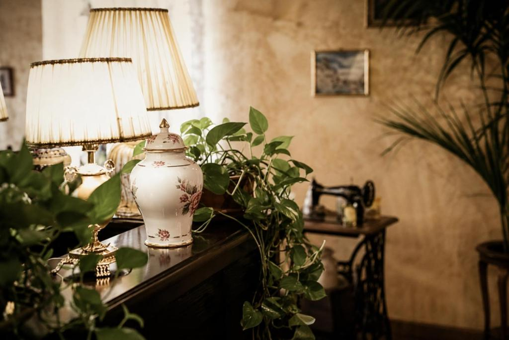 Lamps, porcelain and plants around the rooms of Villa Sant'Erasmo