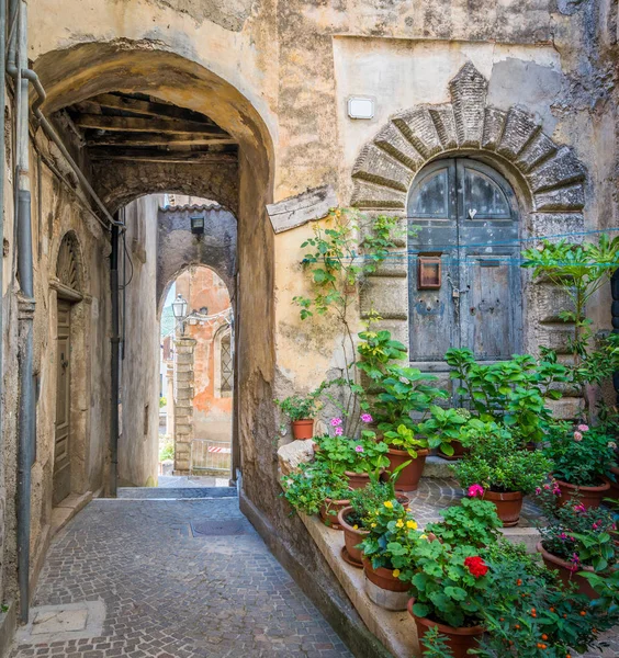 Cobbled alley in the historic centre of Fiuggi with a stone arch and flower pots